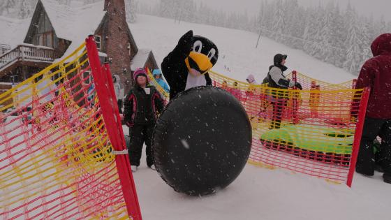 Snow Tube and Adventure Park