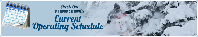 Skibowl Operating Schedule and Hours